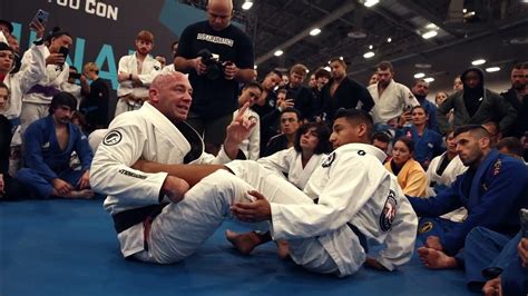 pedigo jiu jitsu.